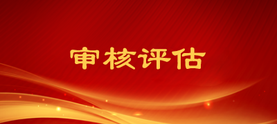 审核评估