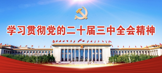 学习贯彻党的二十届三中全会精神